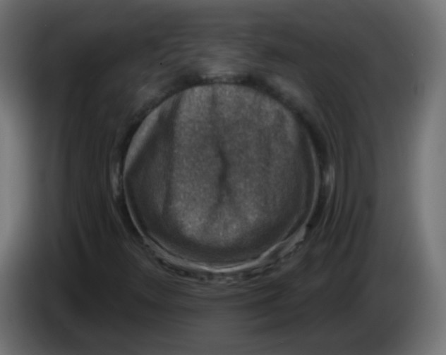 X0000086051348200704131947
