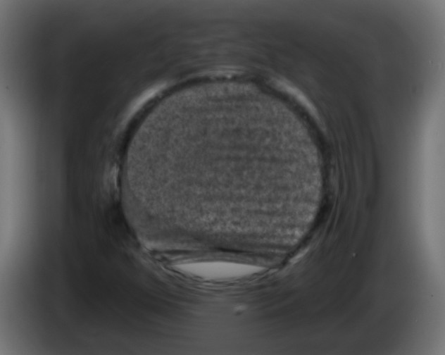 X0000086051352200704131947