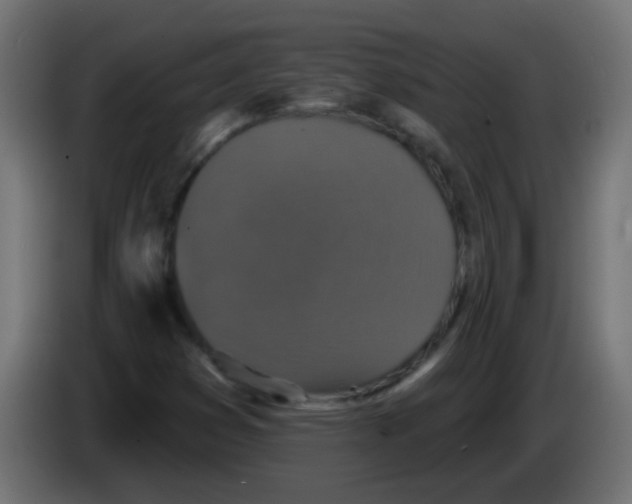 X0000086051353200704131947
