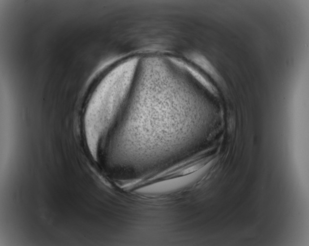 X0000086051356200704131947