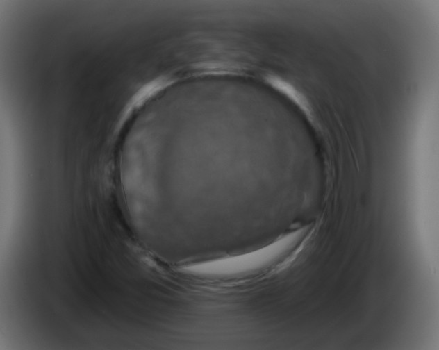 X0000086051357200704131947