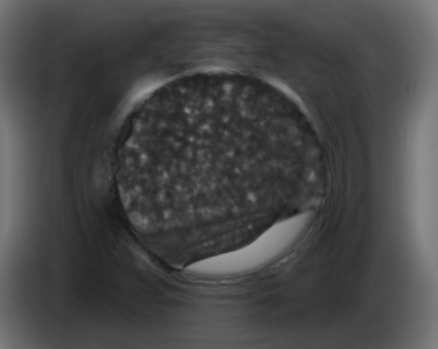 X0000086051359200704131947