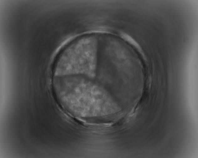 X0000086051360200704131947