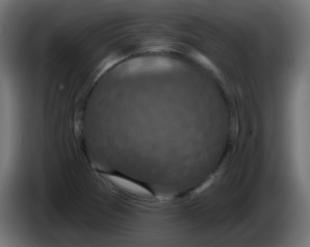 X0000086051361200704131947