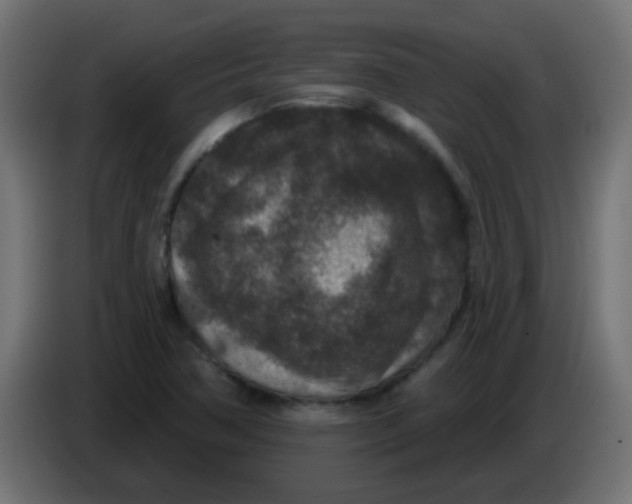 X0000086051362200704131947