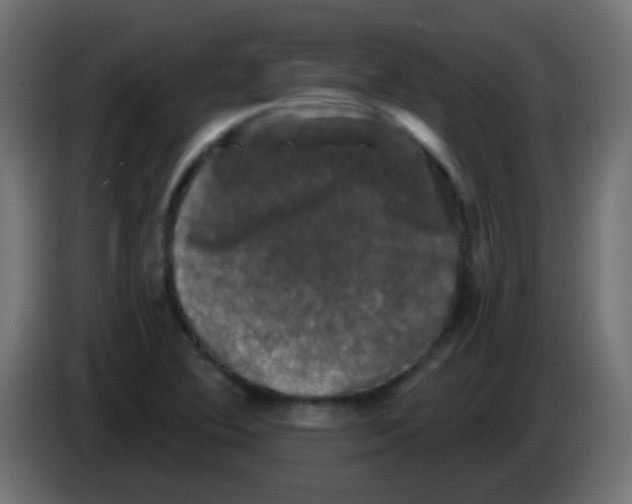 X0000086051364200704131947