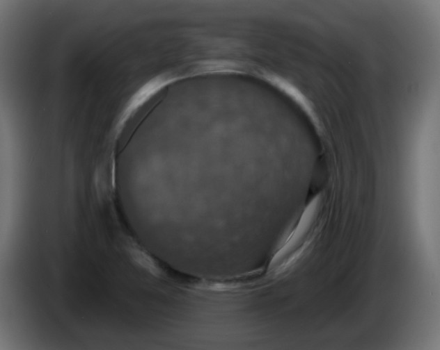 X0000086051365200704131947