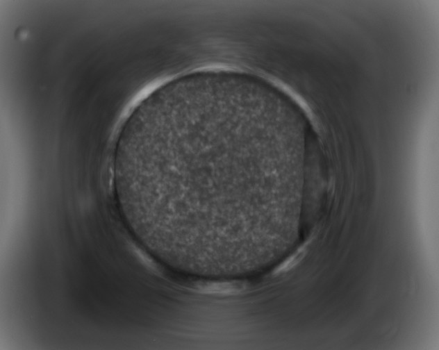 X0000086051367200704131947