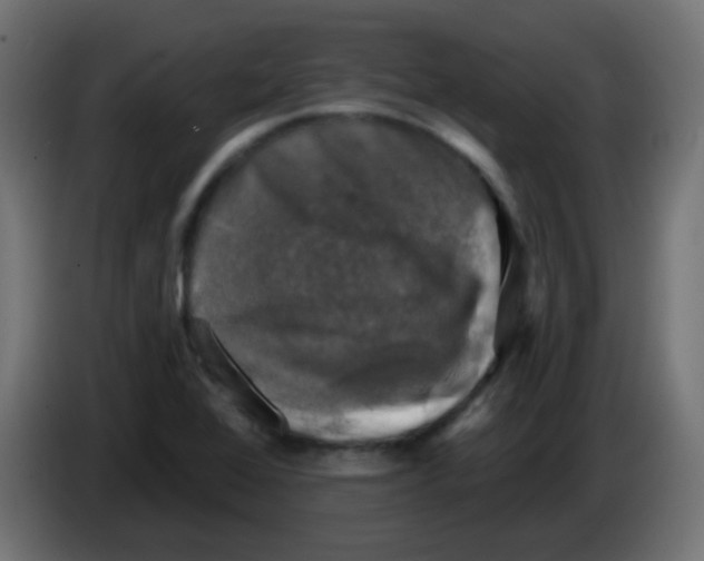 X0000086051368200704131947