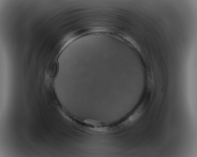 X0000086051369200704131947