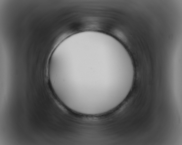 X0000086051370200704131947