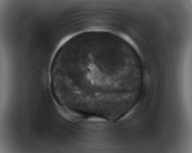X0000086051372200704131947