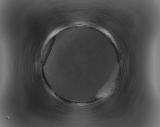 X0000086051373200704131947