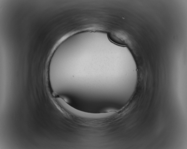 X0000086051375200704131947
