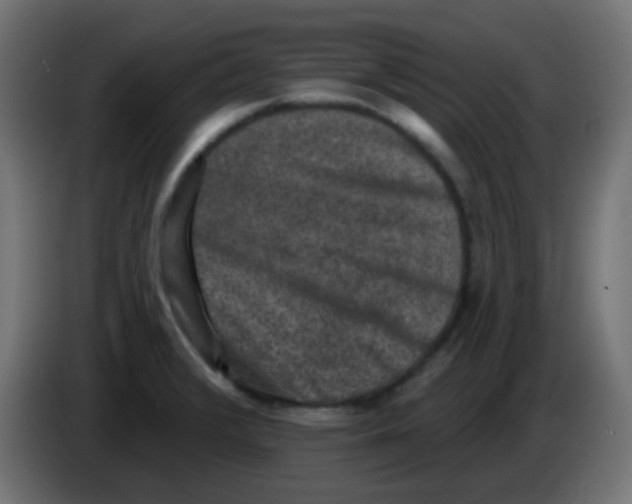 X0000086051376200704131947
