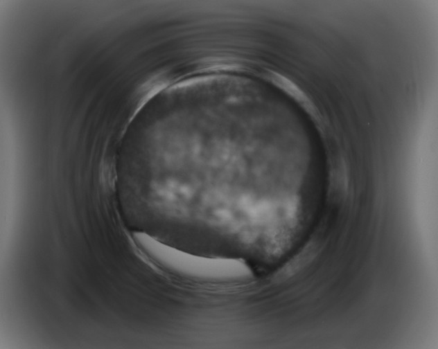 X0000086051377200704131947
