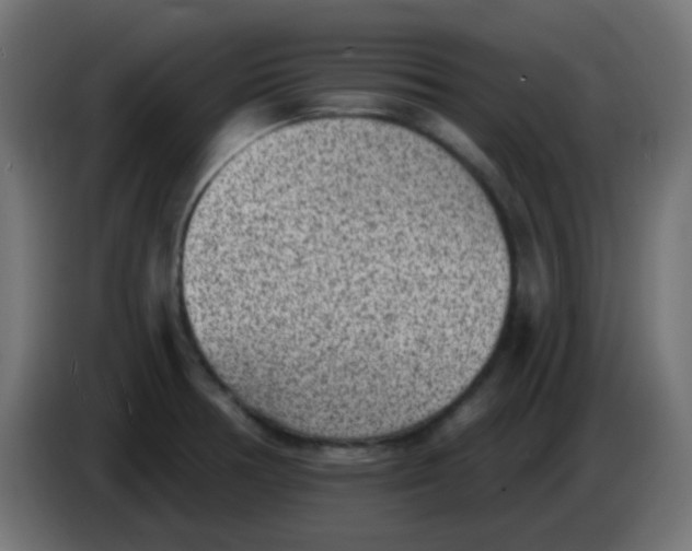 X0000086051378200704131947
