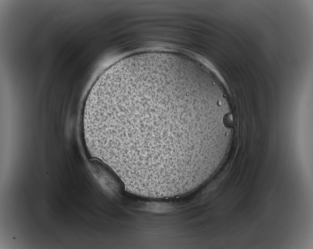 X0000086051379200704131947