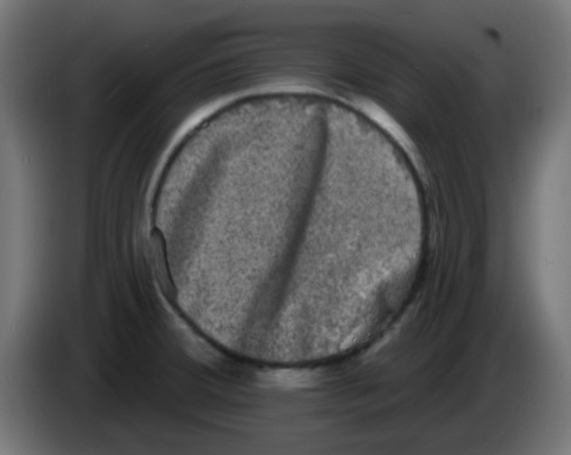 X0000086051380200704131947