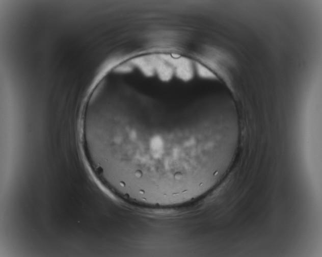 X0000086051383200704131947