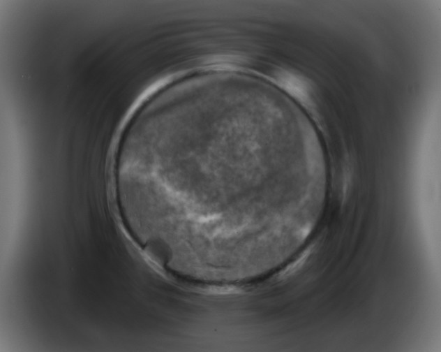 X0000086051384200704131947