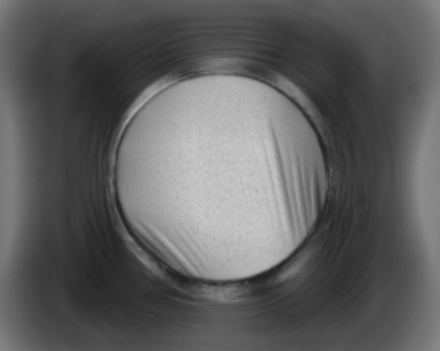 X0000086051386200704131947