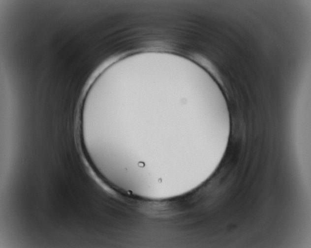 X0000086051387200704131947