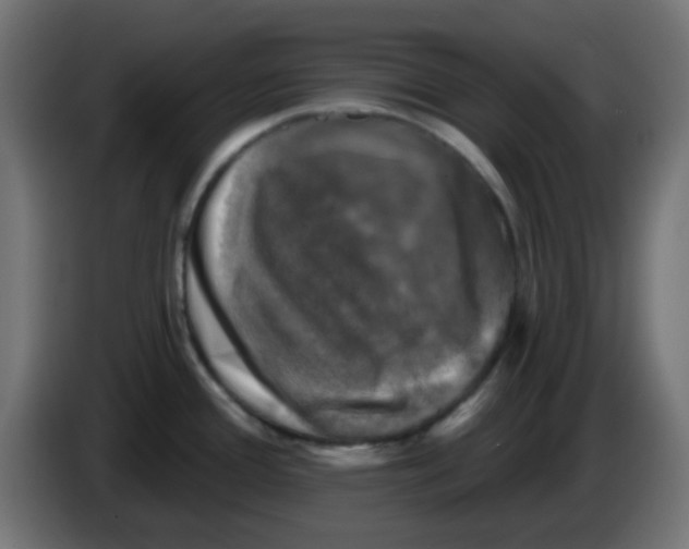 X0000086051388200704131947