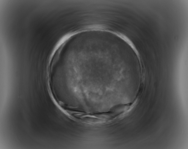 X0000086051389200704131947