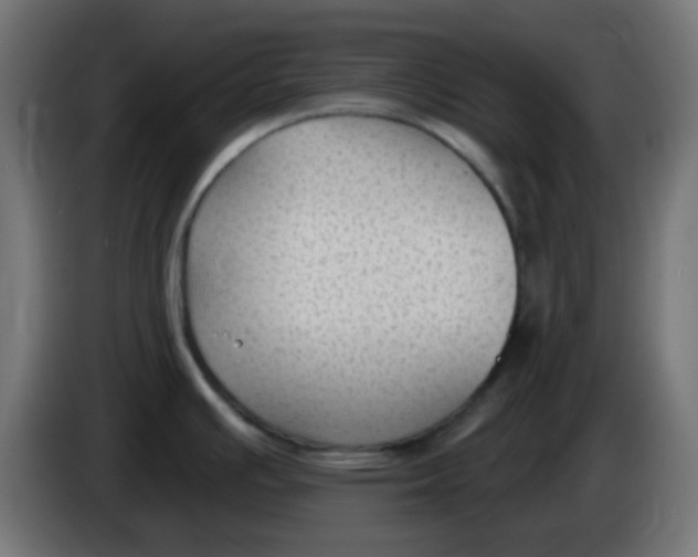 X0000086051391200704131947