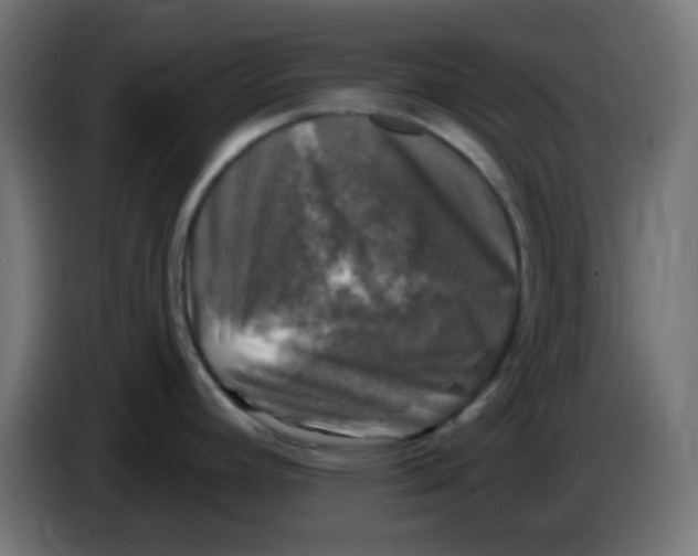 X0000086051392200704131947