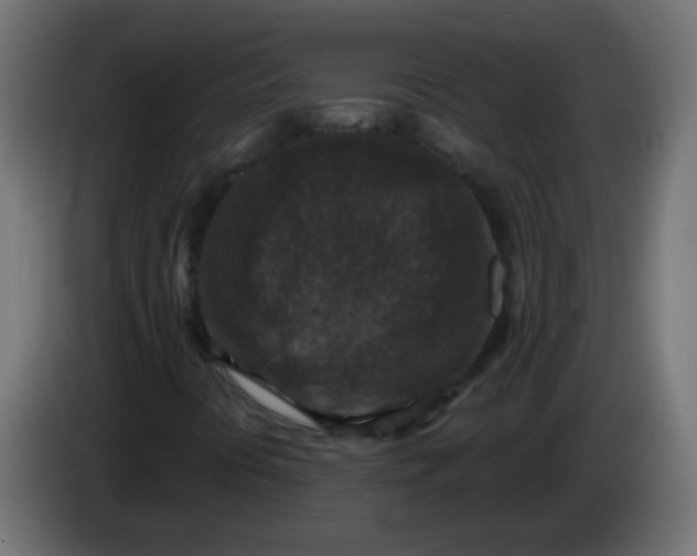 X0000086051394200704131946