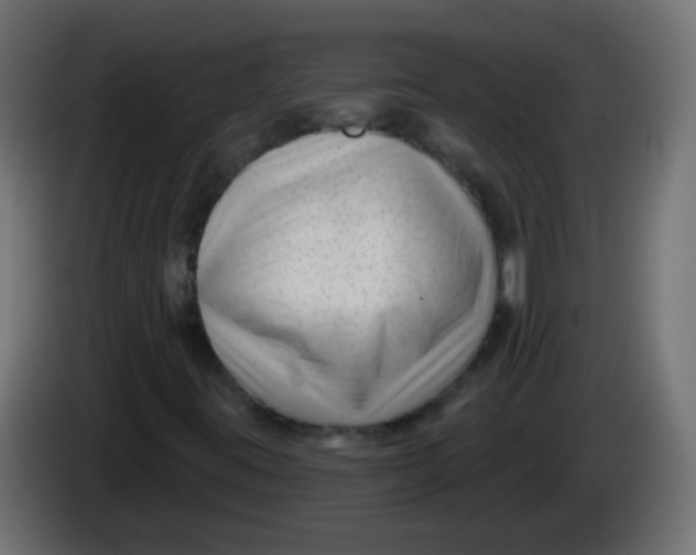 X0000086051395200704131946