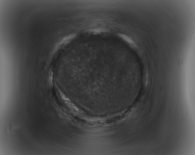 X0000086051398200704131946