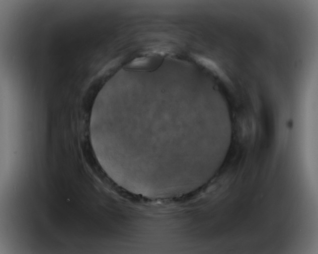 X0000086051399200704131946