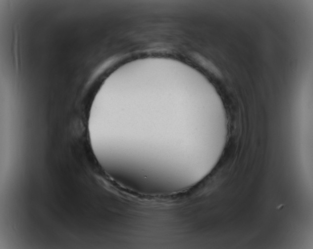 X0000086051400200704131946