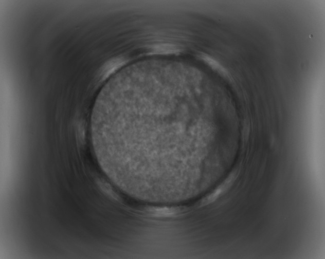X0000086051401200704131946