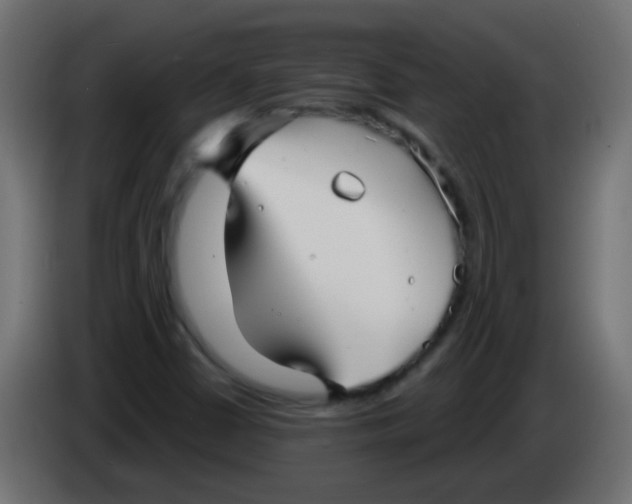 X0000086051402200704131946