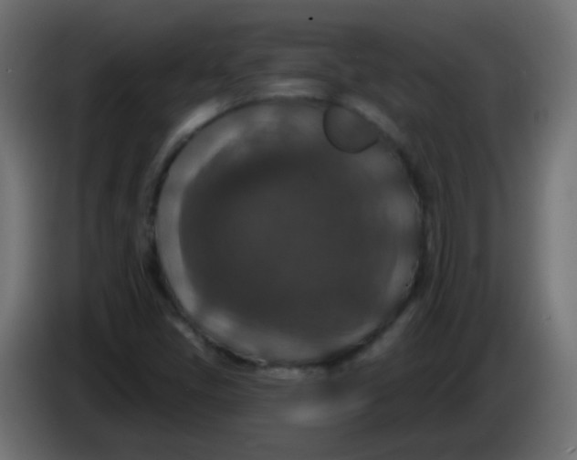 X0000086051405200704131946