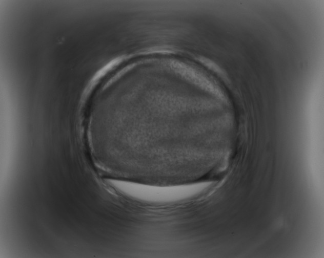 X0000086051406200704131946