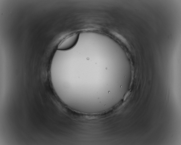 X0000086051407200704131946