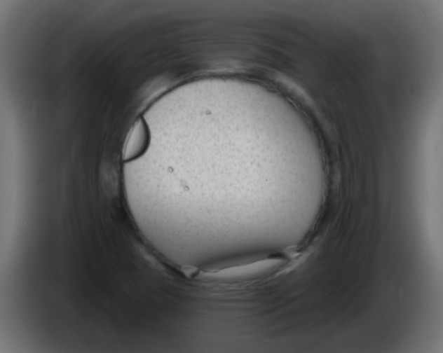 X0000086051409200704131946