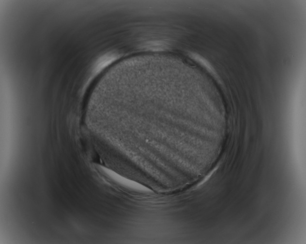 X0000086051410200704131946