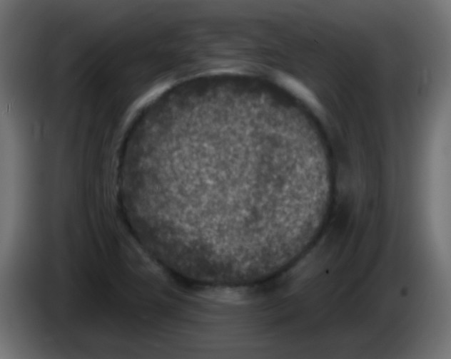 X0000086051411200704131946