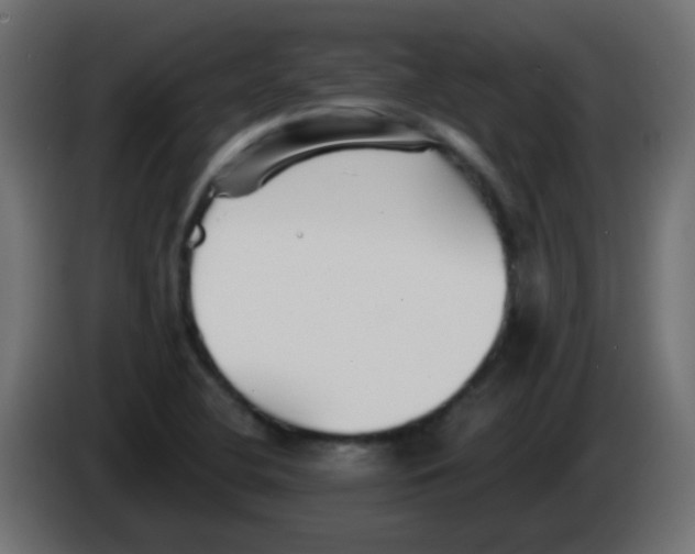 X0000086051412200704131946