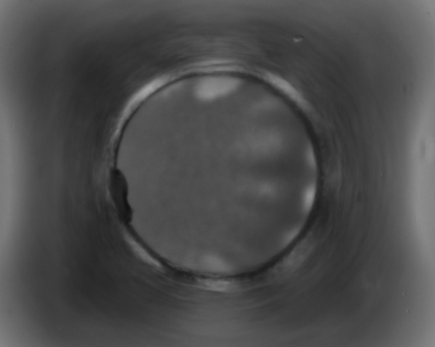 X0000086051413200704131946