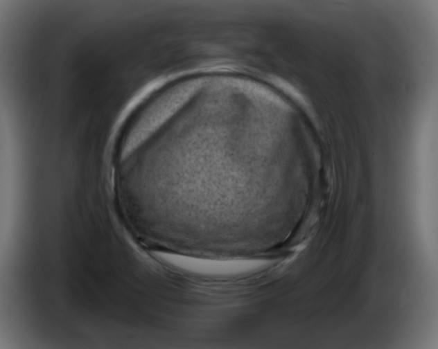 X0000086051414200704131946