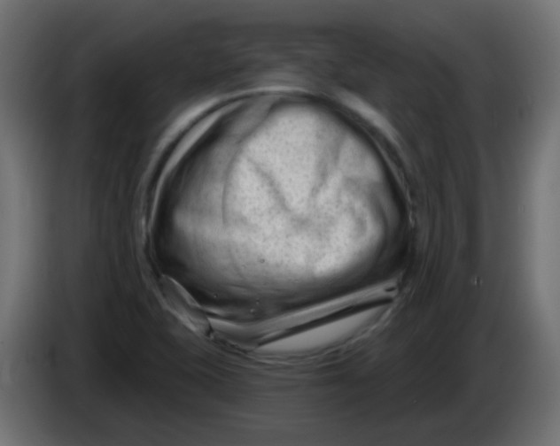 X0000086051415200704131946