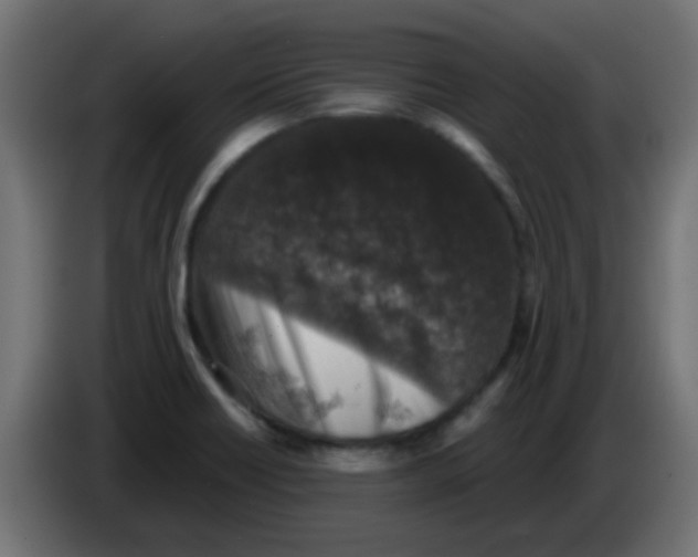 X0000086051418200704131946