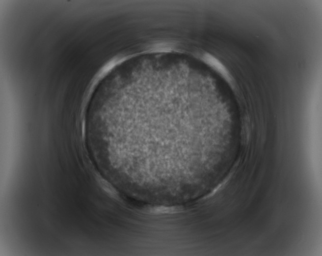 X0000086051419200704131946